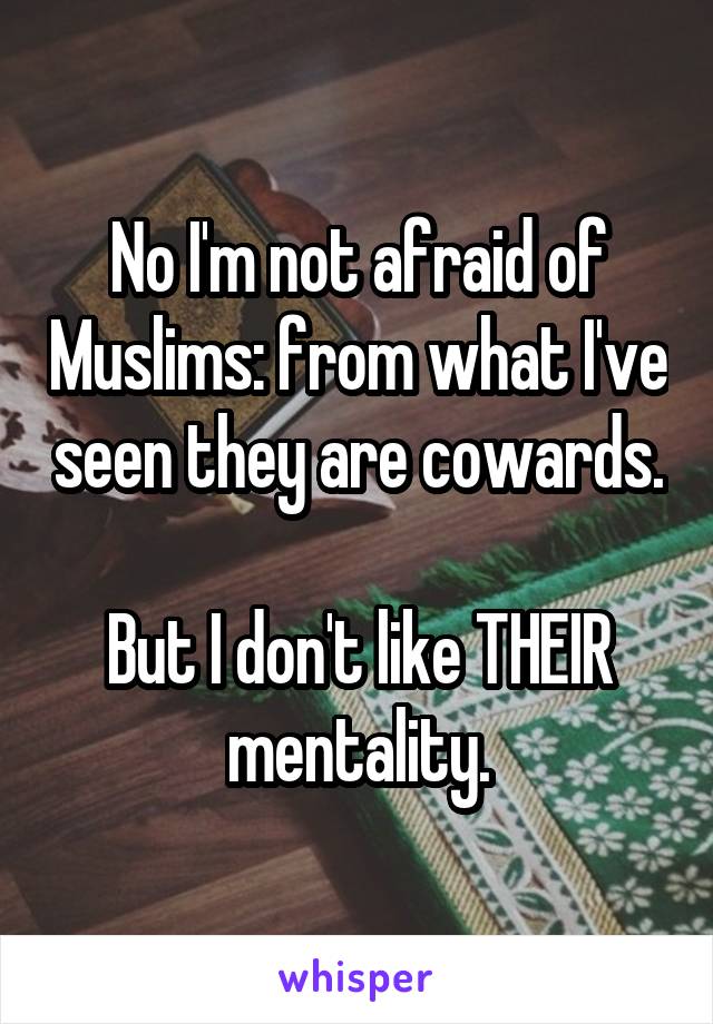 No I'm not afraid of Muslims: from what I've seen they are cowards. 
But I don't like THEIR mentality.