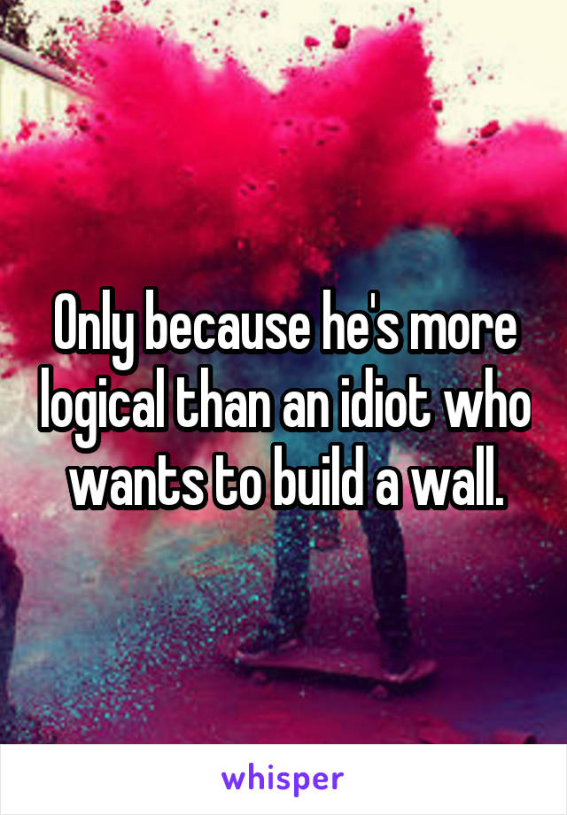 Only because he's more logical than an idiot who wants to build a wall.