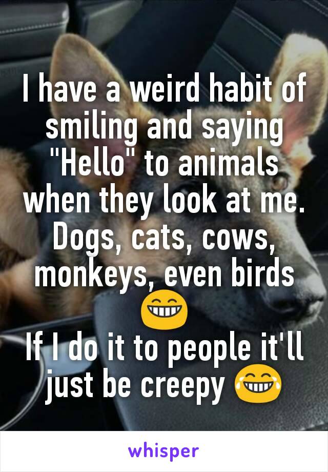 I have a weird habit of smiling and saying "Hello" to animals when they look at me. Dogs, cats, cows, monkeys, even birds 😁
If I do it to people it'll just be creepy 😂
