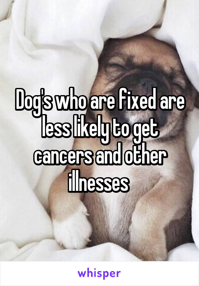 Dog's who are fixed are less likely to get cancers and other illnesses 