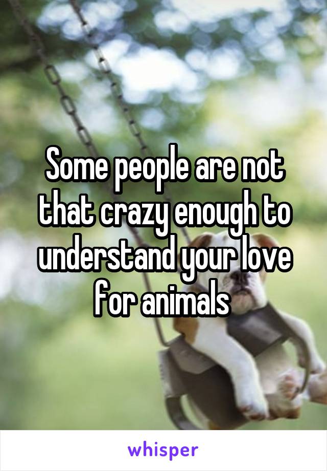 Some people are not that crazy enough to understand your love for animals 