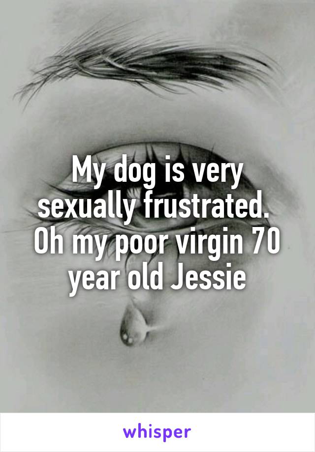 My dog is very sexually frustrated. 
Oh my poor virgin 70 year old Jessie