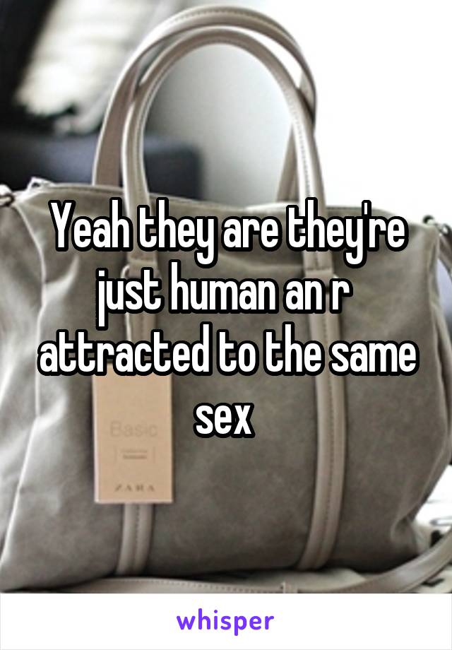 Yeah they are they're just human an r  attracted to the same sex 