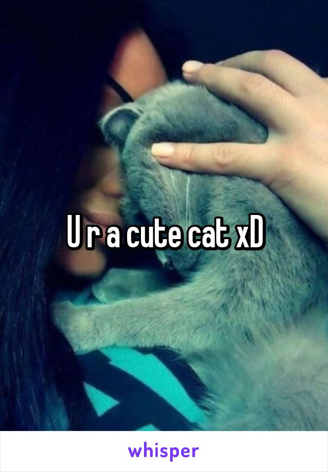 U r a cute cat xD