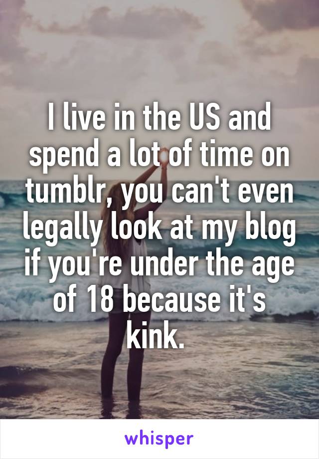 I live in the US and spend a lot of time on tumblr, you can't even legally look at my blog if you're under the age of 18 because it's kink. 