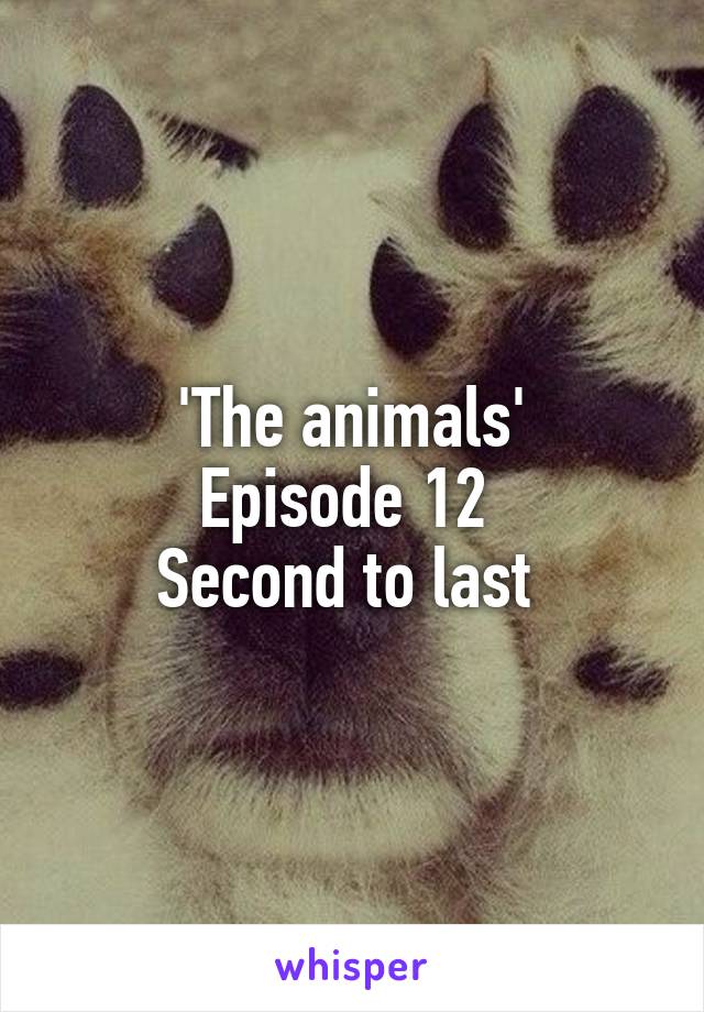 'The animals'
Episode 12 
Second to last 