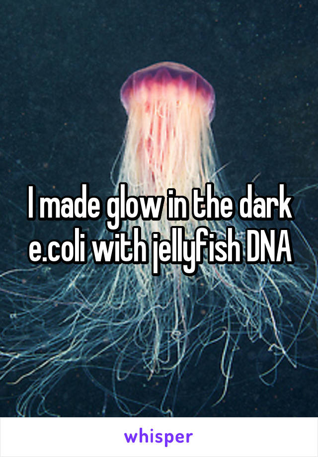 I made glow in the dark e.coli with jellyfish DNA