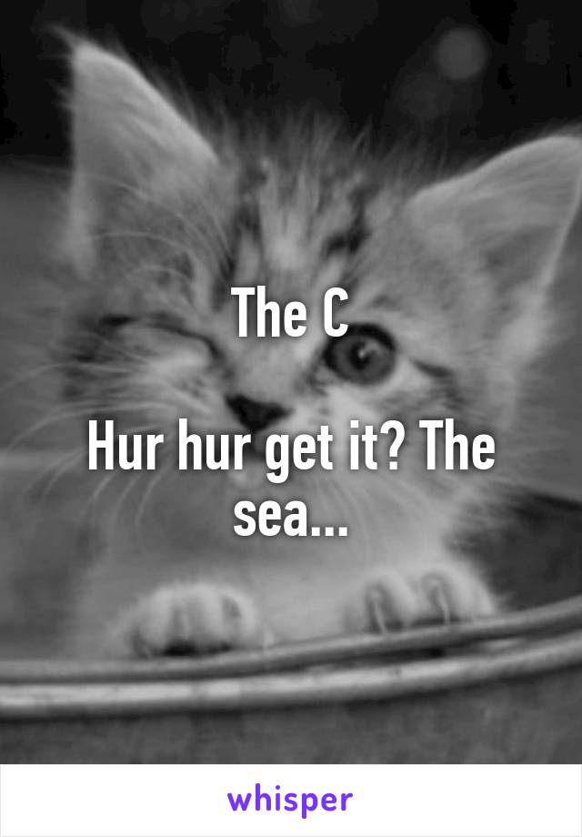 The C

Hur hur get it? The sea...