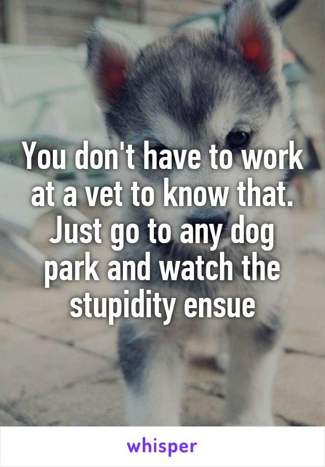You don't have to work at a vet to know that. Just go to any dog park and watch the stupidity ensue