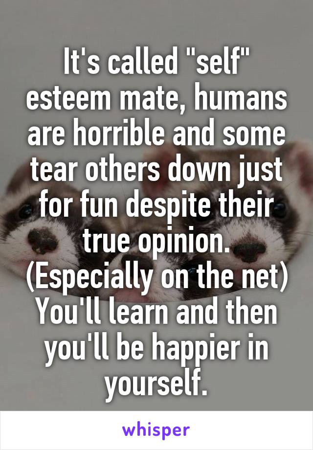 It's called "self" esteem mate, humans are horrible and some tear others down just for fun despite their true opinion. (Especially on the net) You'll learn and then you'll be happier in yourself.