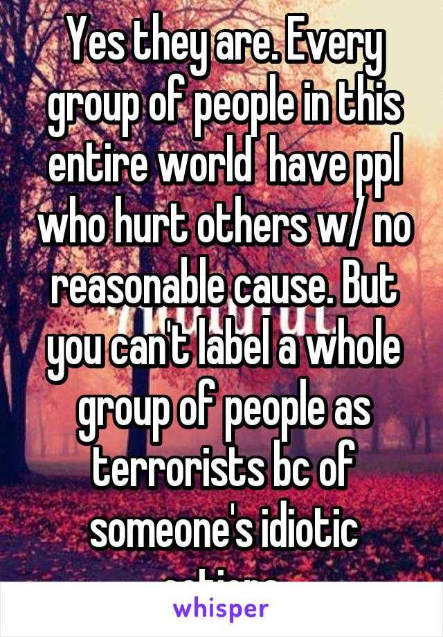 Yes they are. Every group of people in this entire world  have ppl who hurt others w/ no reasonable cause. But you can't label a whole group of people as terrorists bc of someone's idiotic actions.