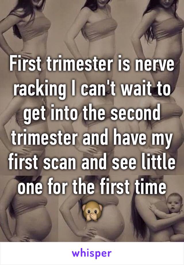 First trimester is nerve racking I can't wait to get into the second trimester and have my first scan and see little one for the first time 🙊