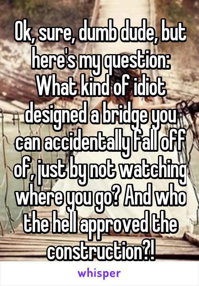 Ok, sure, dumb dude, but here's my question: What kind of idiot designed a bridge you can accidentally fall off of, just by not watching where you go? And who the hell approved the construction?!