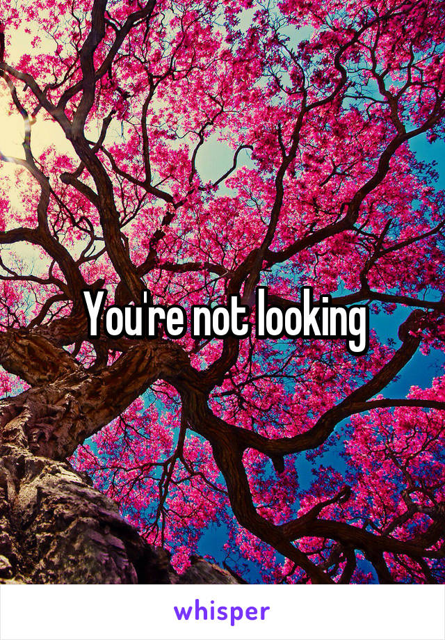 You're not looking