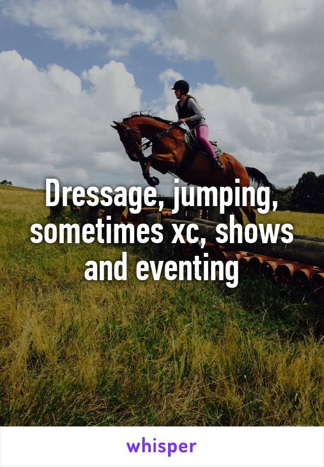 Dressage, jumping, sometimes xc, shows and eventing