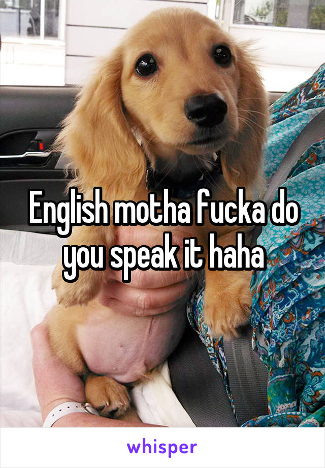 English motha fucka do you speak it haha