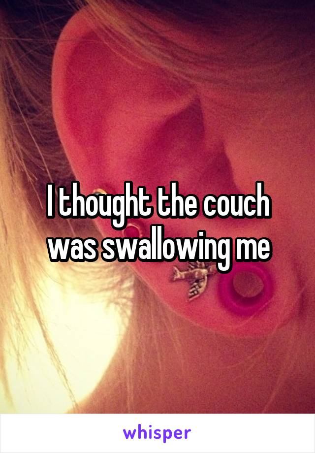 I thought the couch was swallowing me