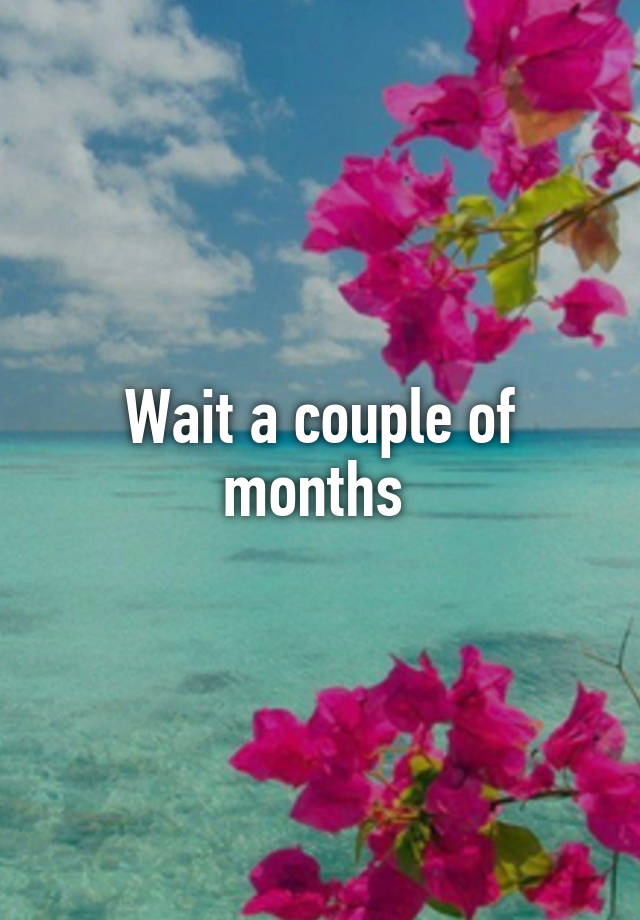 wait-a-couple-of-months