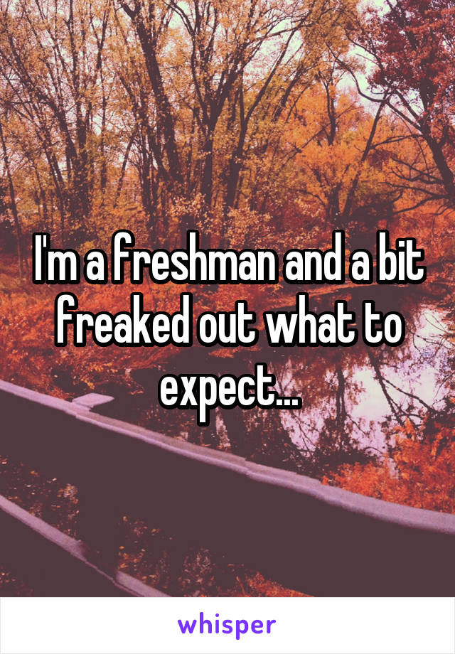 I'm a freshman and a bit freaked out what to expect...