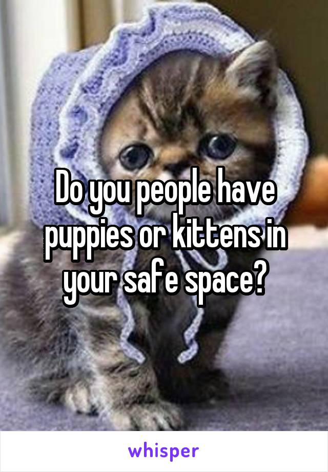 Do you people have puppies or kittens in your safe space?