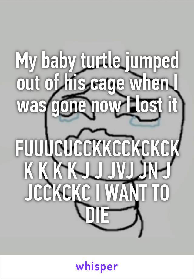My baby turtle jumped out of his cage when I was gone now I lost it

FUUUCUCCKKCCKCKCK K K K K J J JVJ JN J JCCKCKC I WANT TO DIE