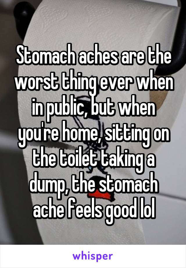 Stomach aches are the worst thing ever when in public, but when you're home, sitting on the toilet taking a dump, the stomach ache feels good lol