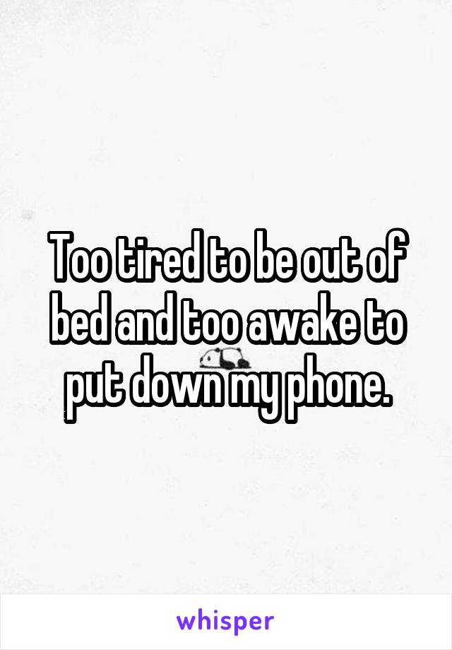 Too tired to be out of bed and too awake to put down my phone.