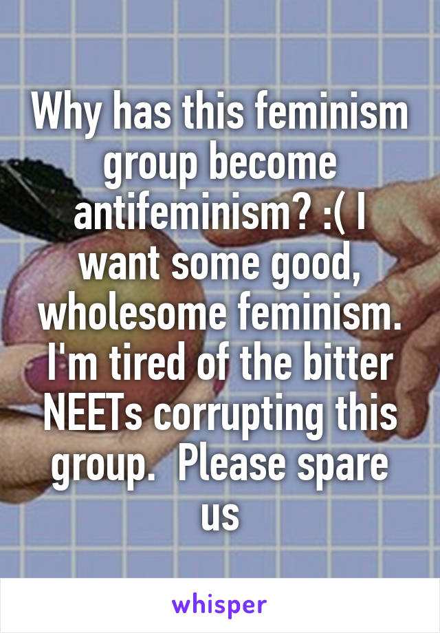 Why has this feminism group become antifeminism? :( I want some good, wholesome feminism. I'm tired of the bitter NEETs corrupting this group.  Please spare us