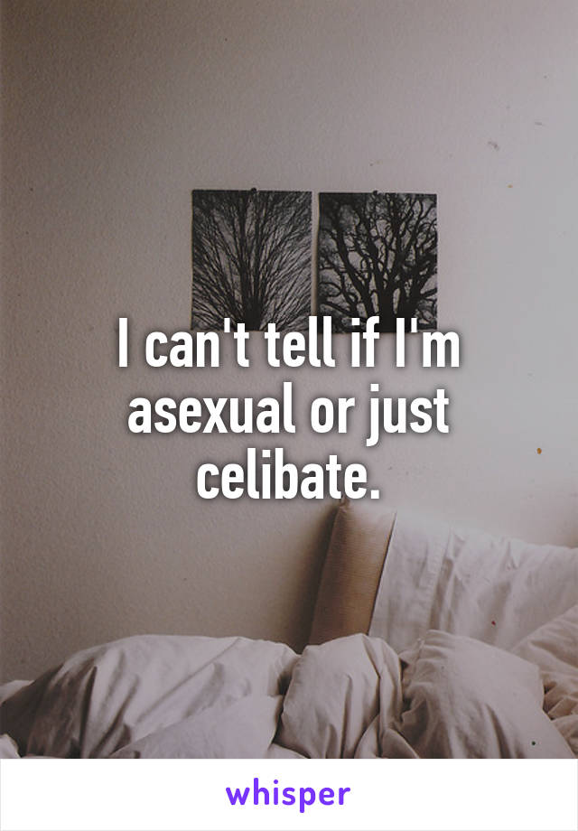 I can't tell if I'm asexual or just celibate.