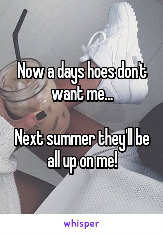 Now a days hoes don't want me...

Next summer they'll be all up on me!