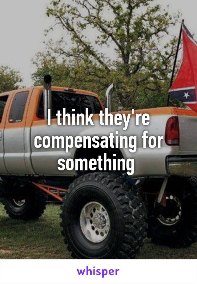 I think they're compensating for something 