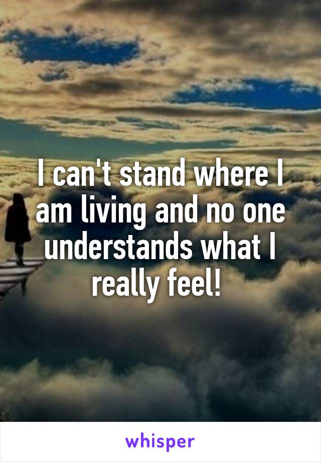 I can't stand where I am living and no one understands what I really feel! 