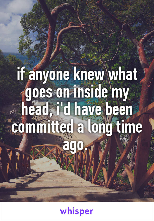 if anyone knew what goes on inside my head, i'd have been committed a long time ago. 