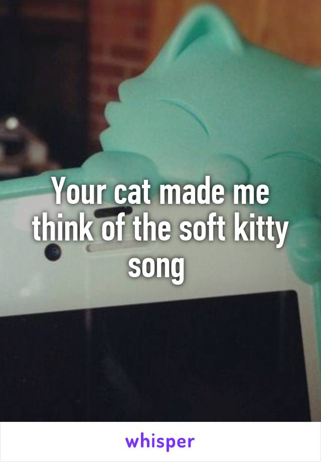 Your cat made me think of the soft kitty song 