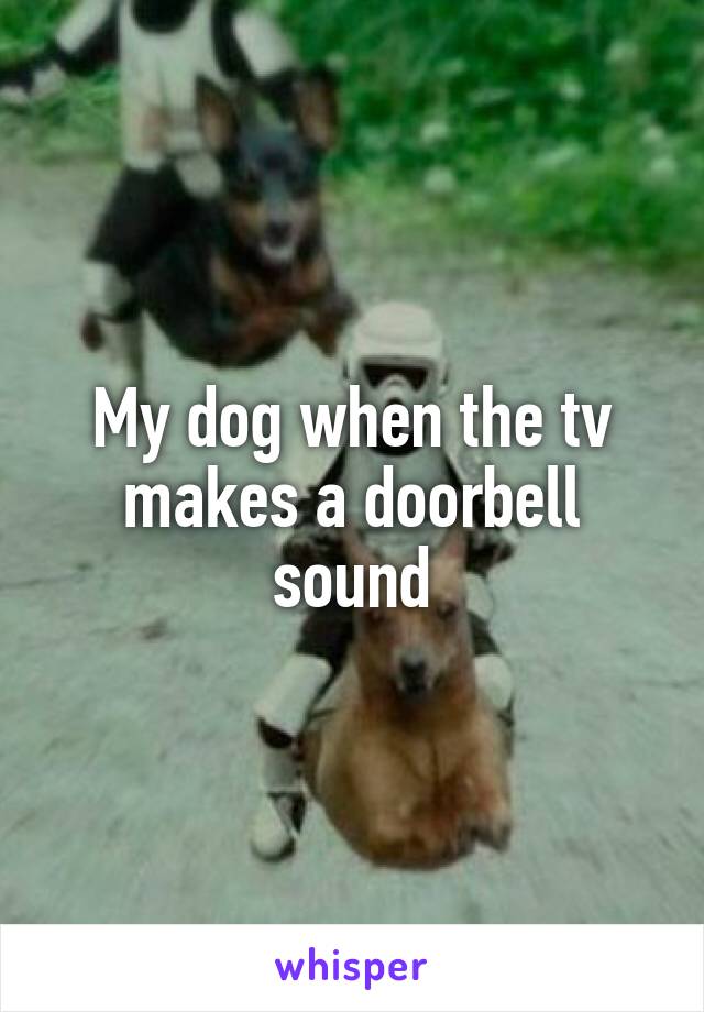 My dog when the tv makes a doorbell sound