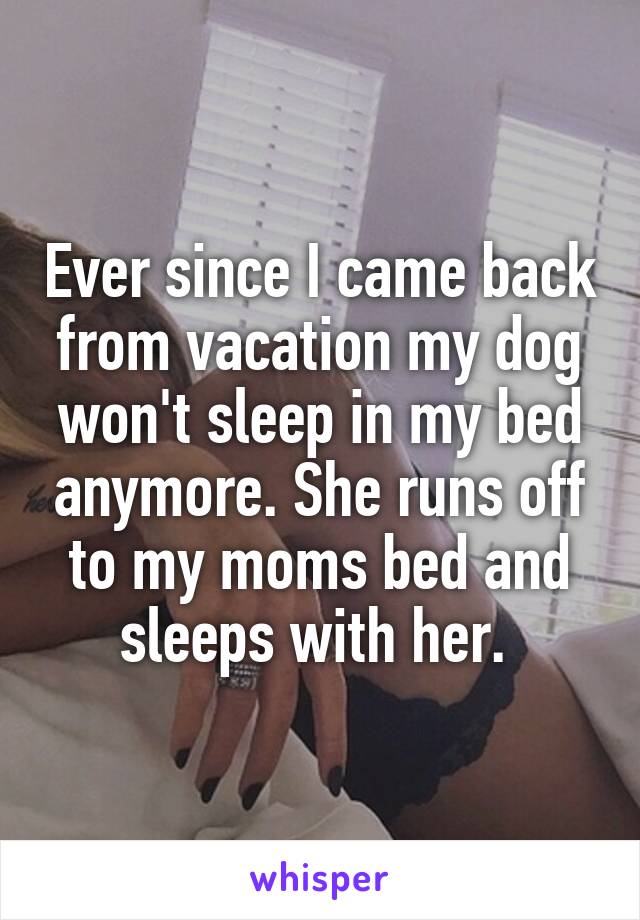 Ever since I came back from vacation my dog won't sleep in my bed anymore. She runs off to my moms bed and sleeps with her. 