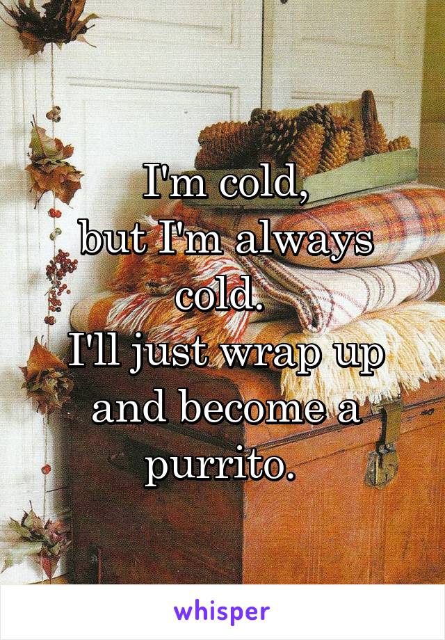 I'm cold,
but I'm always cold. 
I'll just wrap up and become a purrito. 
