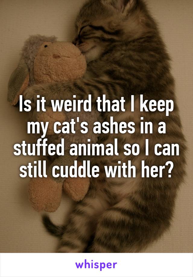 Is it weird that I keep my cat's ashes in a stuffed animal so I can still cuddle with her?
