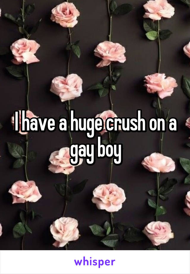 I have a huge crush on a gay boy