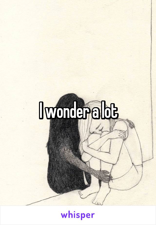 I wonder a lot