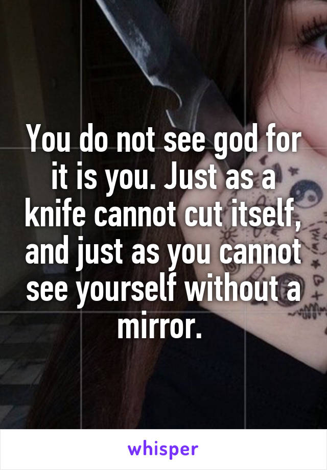 You do not see god for it is you. Just as a knife cannot cut itself, and just as you cannot see yourself without a mirror. 