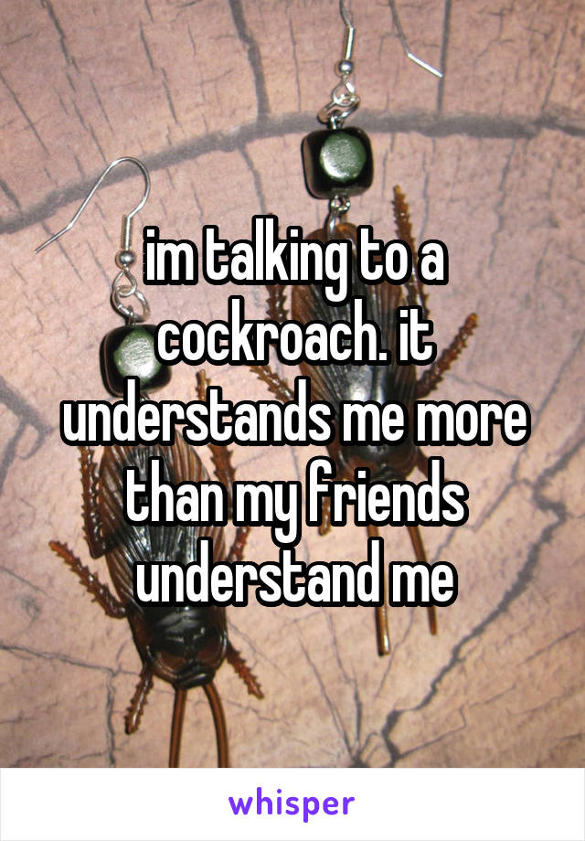 im talking to a cockroach. it understands me more than my friends understand me