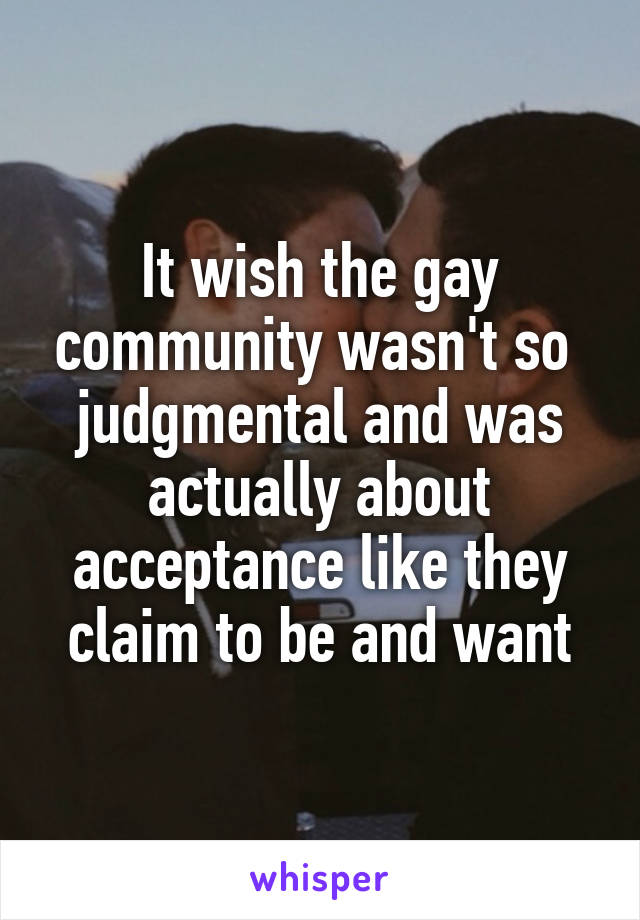 It wish the gay community wasn't so  judgmental and was actually about acceptance like they claim to be and want
