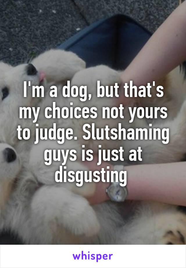 I'm a dog, but that's my choices not yours to judge. Slutshaming guys is just at disgusting 