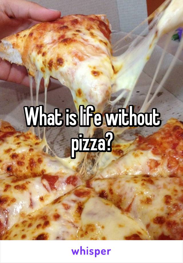 What is life without pizza?