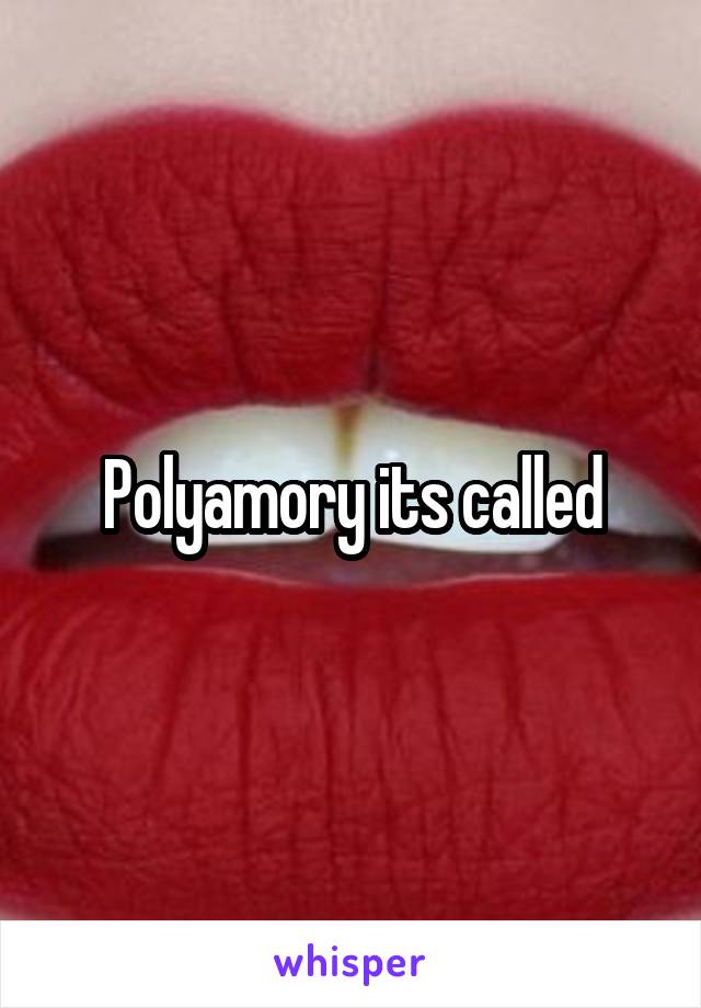 Polyamory its called