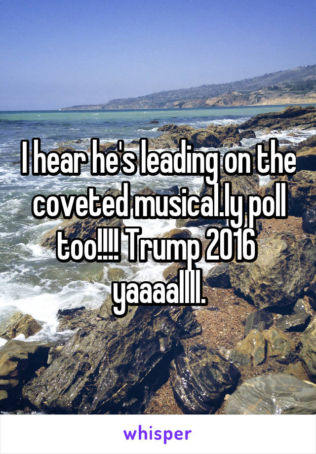 I hear he's leading on the coveted musical.ly poll too!!!! Trump 2016  yaaaallll.