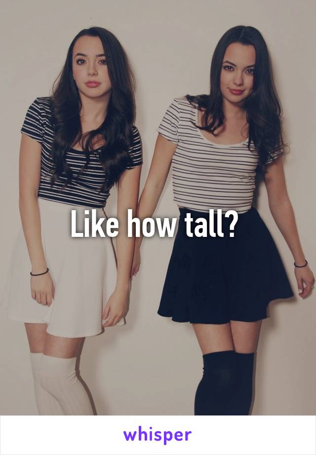 Like how tall? 