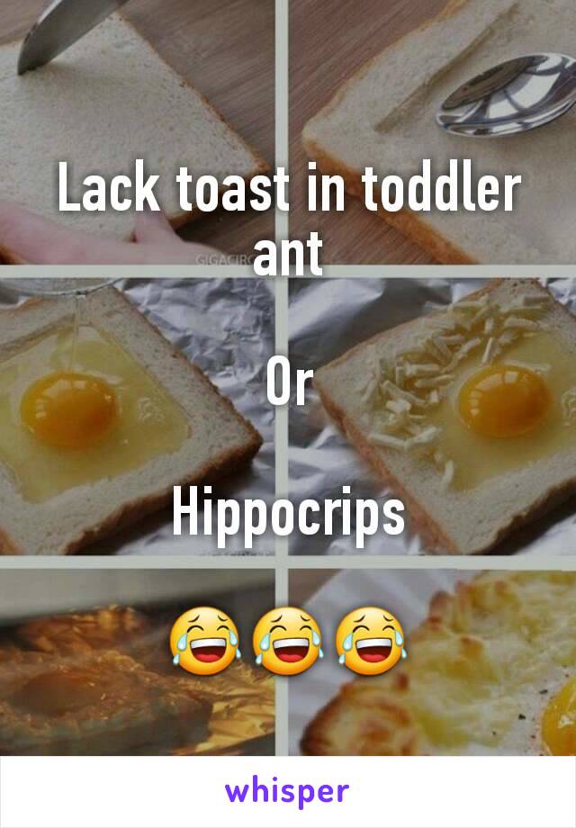 Lack toast in toddler ant

Or

Hippocrips

😂😂😂