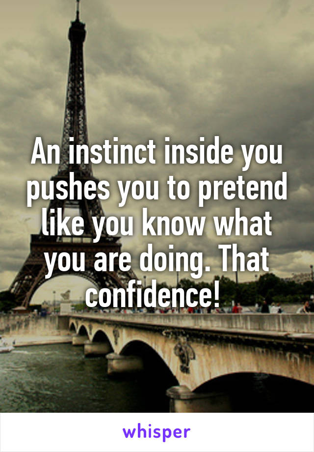 An instinct inside you pushes you to pretend like you know what you are doing. That confidence! 